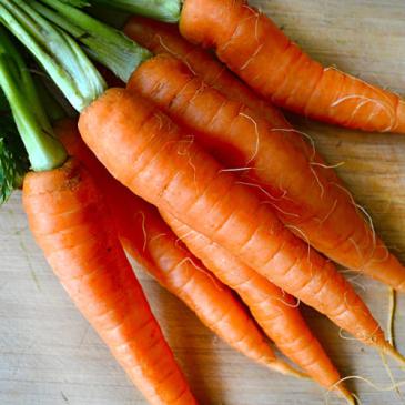 Морковь Вита Лонга, 10 г фото 1