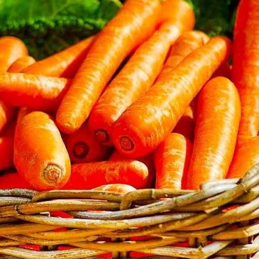 Морковь столовая позднеспелая Карлена, 20 г фото 1