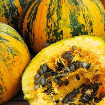 Тыква Гоосеменная,10 сем. фото 1