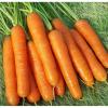 Морковь столовая среднеспелая Нантская,  20 г фото 1