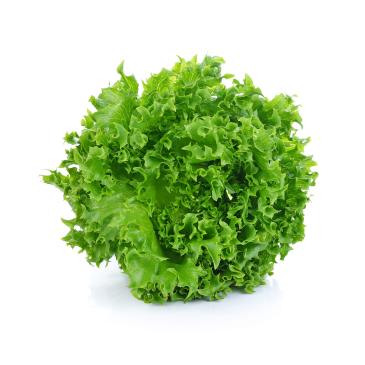 Салат Лолло Бiонда, 300 нас. фото 1