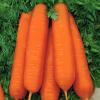 Морковь Берликумер-2,  5 г