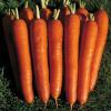 Морква столова пізньостигла Красний велікан,  5 г фото 1