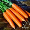 Морковь столовая среднеспелая Натофи,  20 г фото 1