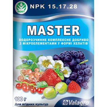 Добриво мінеральне Master NPK 15.17.28 Для ягідних культур, 100 г фото 1