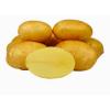 Картопля Мелоді,  2 кг