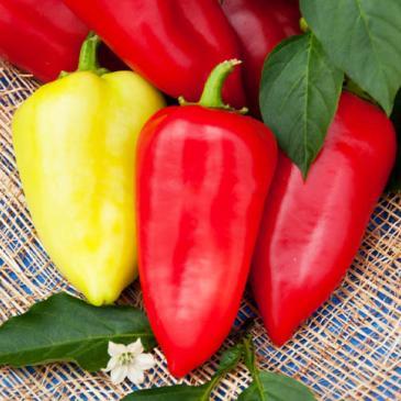 Перець Белозирка, 0,2 г фото 1