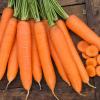 Морковь столовая среднепоздняя Сиркана F1,  400 сем. фото 1