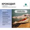 Свекла сахарная Крокодил,  1 кг