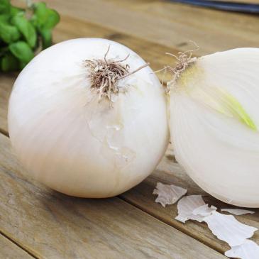 Цибуля Агостана, 1 г фото 1