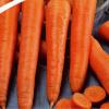 Морковь столовая позднеспелая Каротан,  1 г фото 1