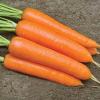 Морква Монанта,  2 г фото 1