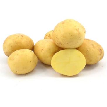 Картопля Коннект, 2 кг фото 1