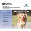 Буряк цукровий Плутон,  1 кг