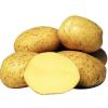 Картопля Рів'єра,  2, 5 кг фото 1