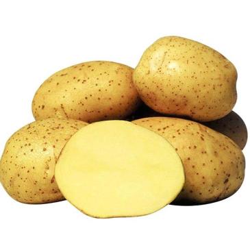 Картопля Рів'єра, 2,5 кг фото 1