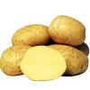Картофель Ривьера,  20 кг