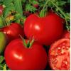 Томат Балада,  0, 2 г