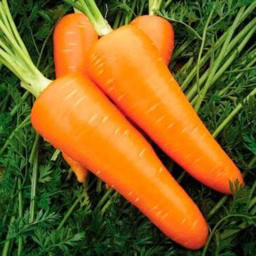Морковь Мирафлорес F1, 400 сем. фото 1