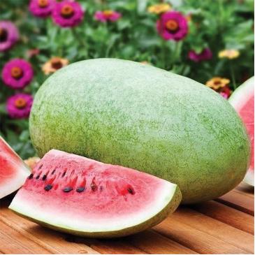 Кавун Чарльстон Грей де Люкс, 20 нас.. фото 1