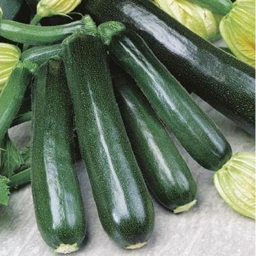 Кабачок-цуккини Блэк бьюти, 20 г фото 1