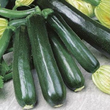 Кабачок-цуккини Блэк бьюти, 20 г фото 1