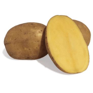 Картофель Сорая, 10 кг фото 1