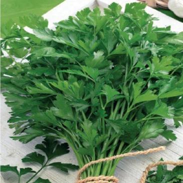 Петрушка Карнавал, 3 г фото 1