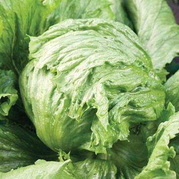 Лайбаховский лед, 1 г фото 1