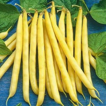 Квасоля Пантера, 15 нас. фото 1