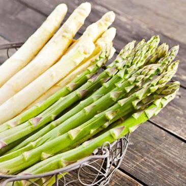 Спаржа,20 сем. фото 1