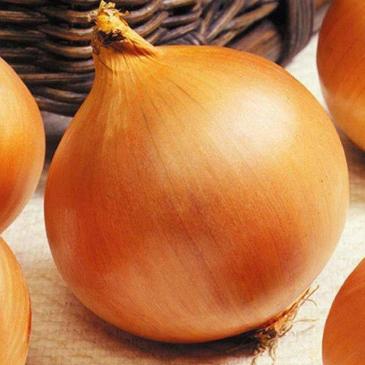 Лук Гетьман F1, 1200 сем. фото 1