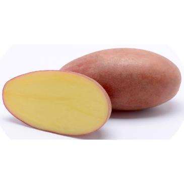 Картофель Сорая, 1 кг фото 1