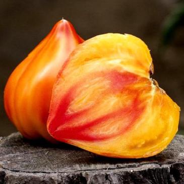 Томат Мадрид F1, 5 нас. фото 1