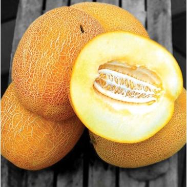 Диня Нево F1, 5 нас. фото 1