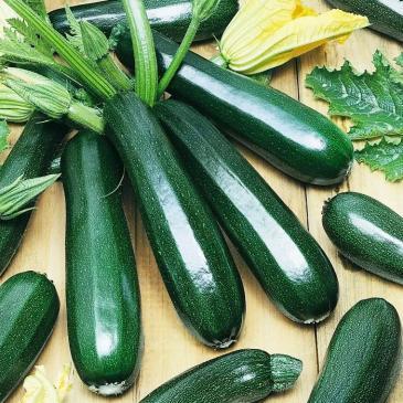 Кабачок-цукіні Супремо F1, 5 нас. фото 1