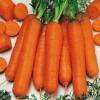 Морковь Памелла,  20 г